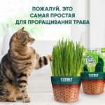 Миниатюра для Лакомство для кошек TiTBiT Трава овес для проращивания 60 г