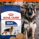 Миниатюра для Корм Royal Canin Maxi Adult для взрослых собак крупных пород 20 кг