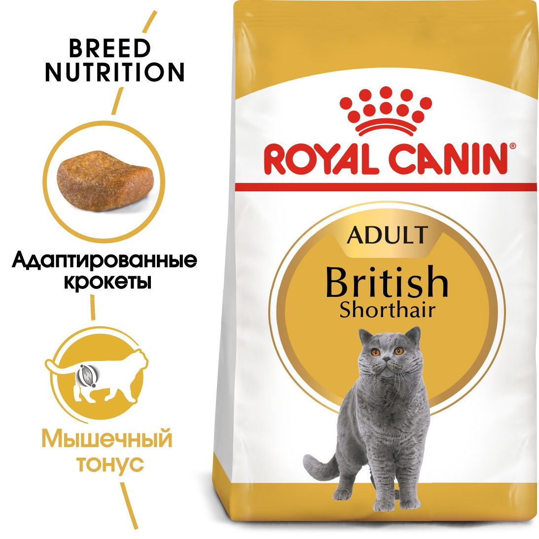 Корм для кошек РАЗВЕСНОЙ Royal Canin British Shorthair для британских короткошерстных кошек 500 г